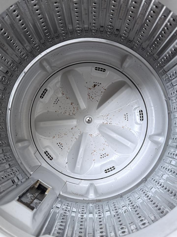 洗衣機清洗案件圖片