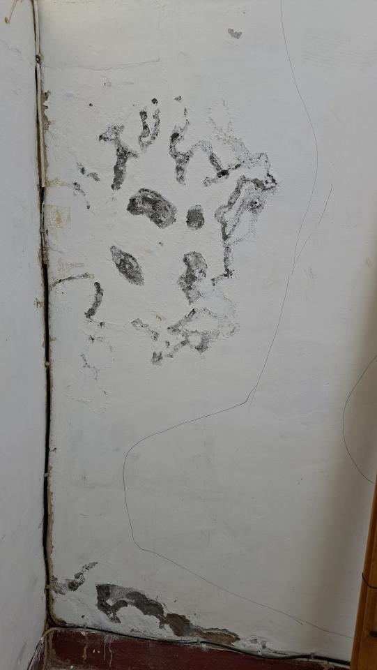 壁癌處理案件圖片