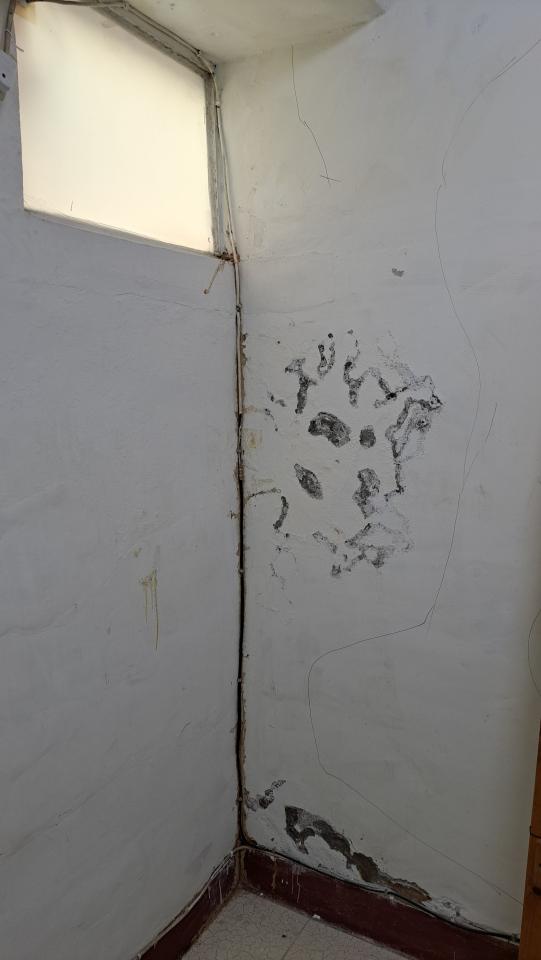 壁癌處理案件圖片