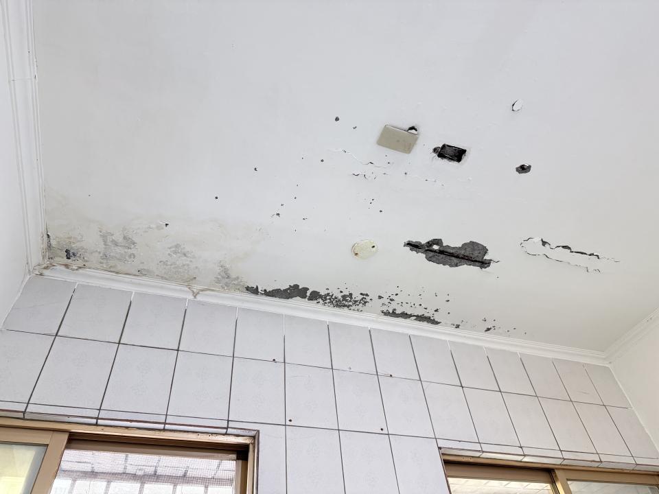 泥作/水泥施工案件圖片