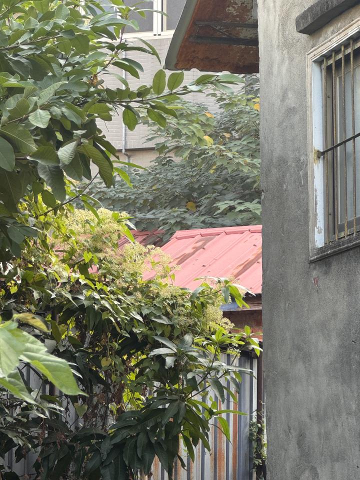 園藝維護案件圖片