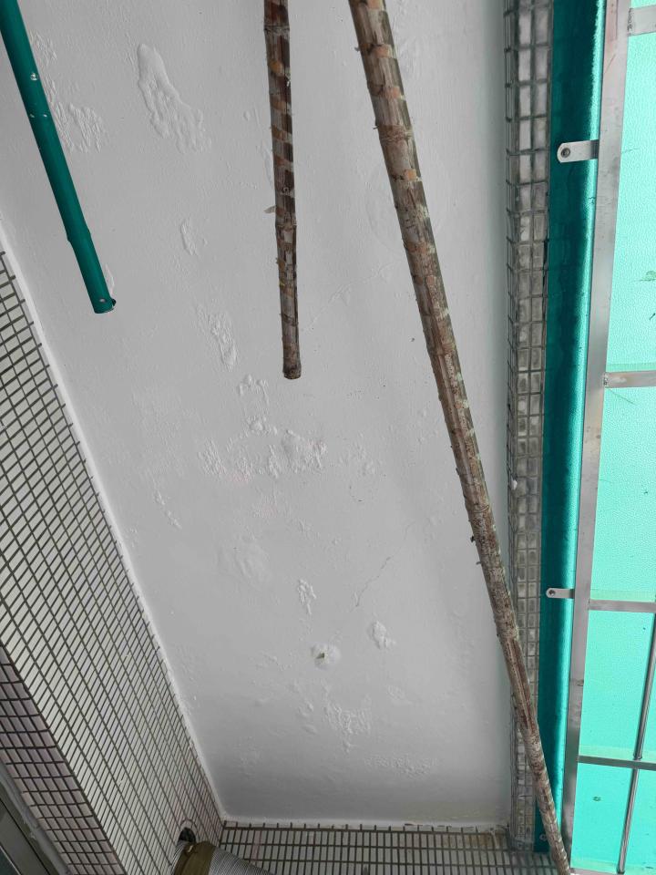 油漆工程案件圖片