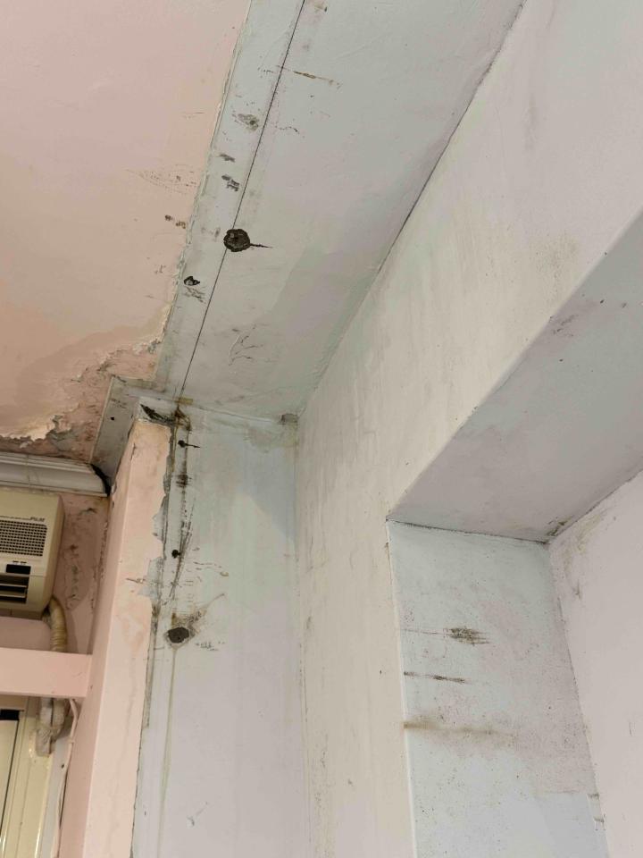 壁癌處理案件圖片