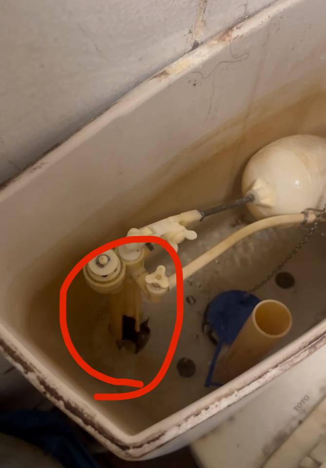 馬桶裝修案件圖片