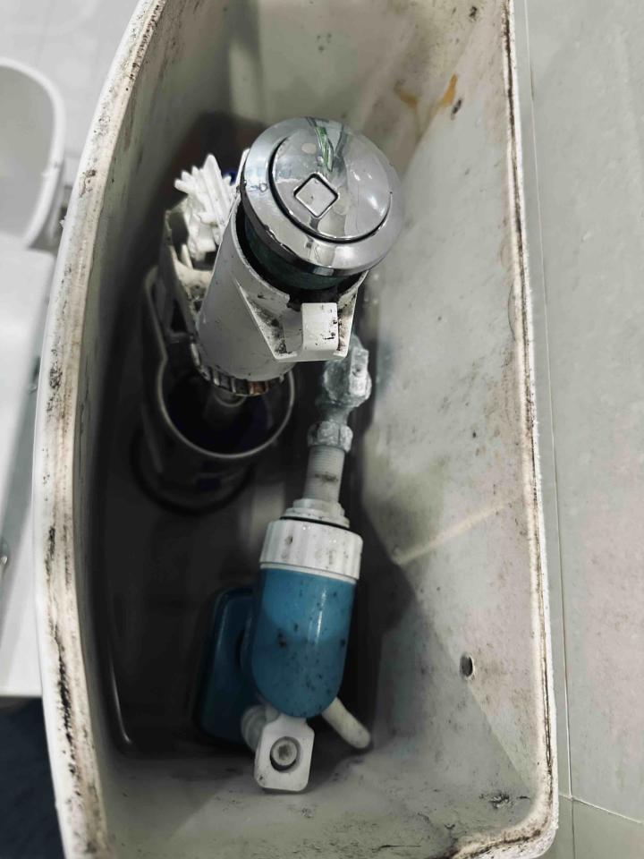 馬桶裝修案件圖片