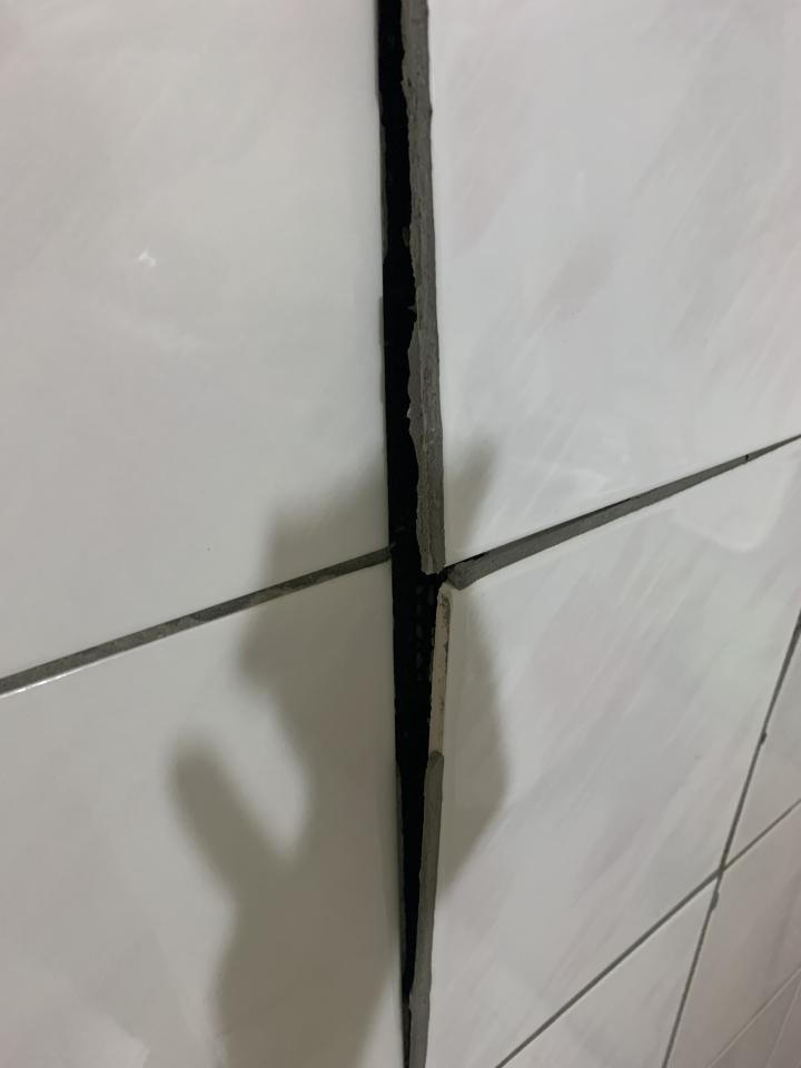 磁磚修補案件圖片