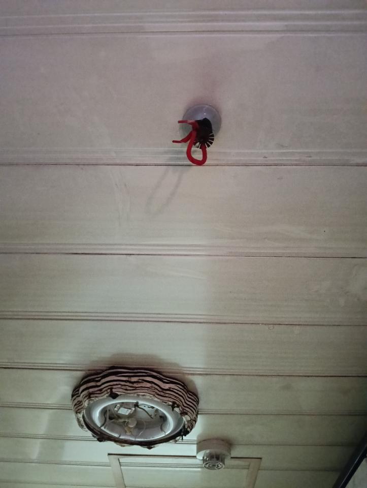 廚房清潔案件圖片