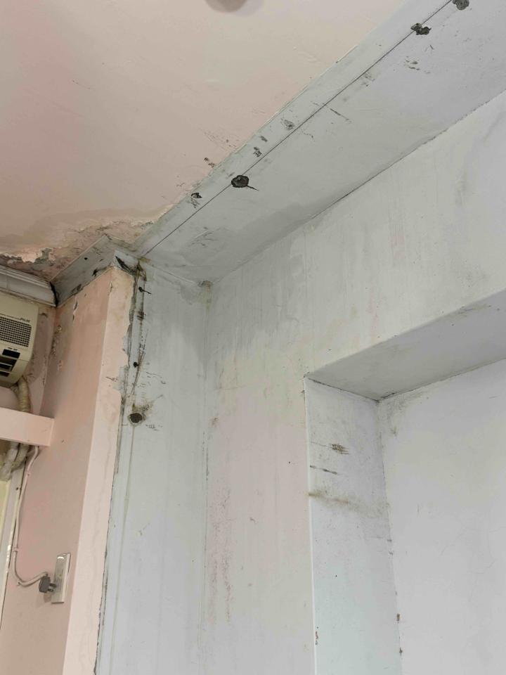 壁癌處理案件圖片