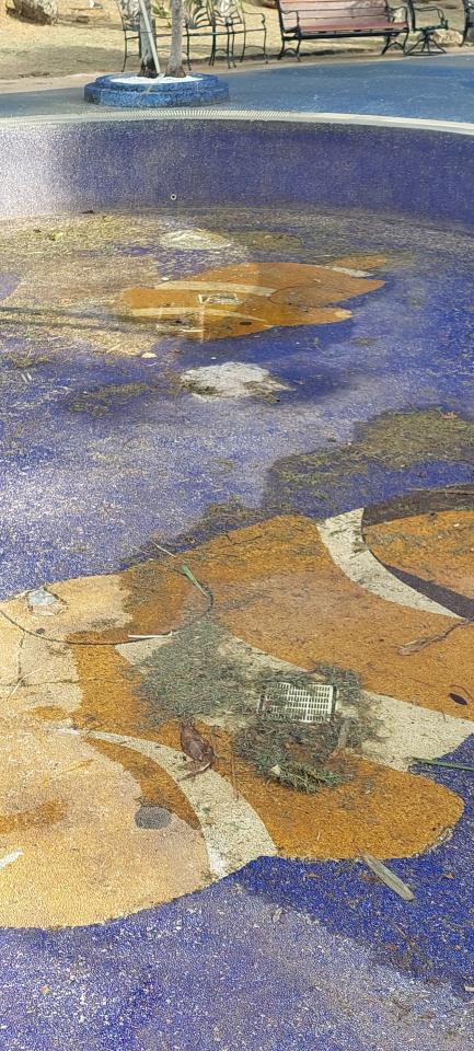 泥作/水泥施工案件圖片