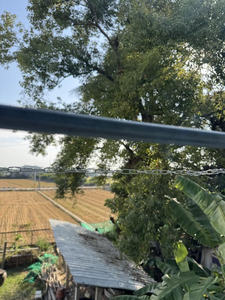 園藝維護案件圖片