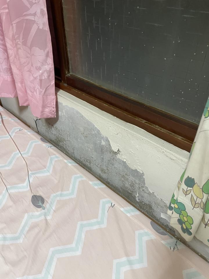 木工施工案件圖片