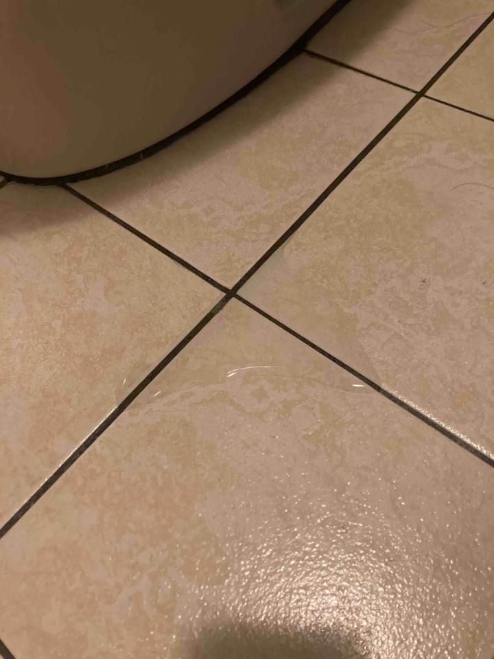 馬桶裝修案件圖片