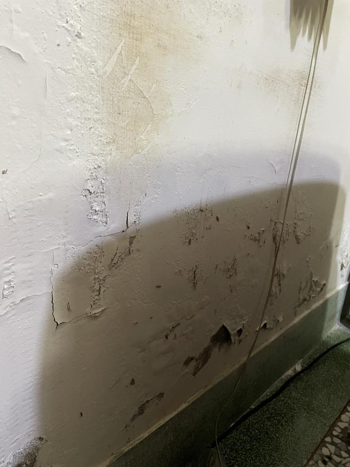 木工施工案件圖片