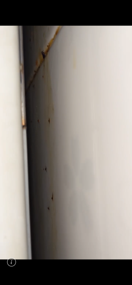 廚房清潔案件圖片