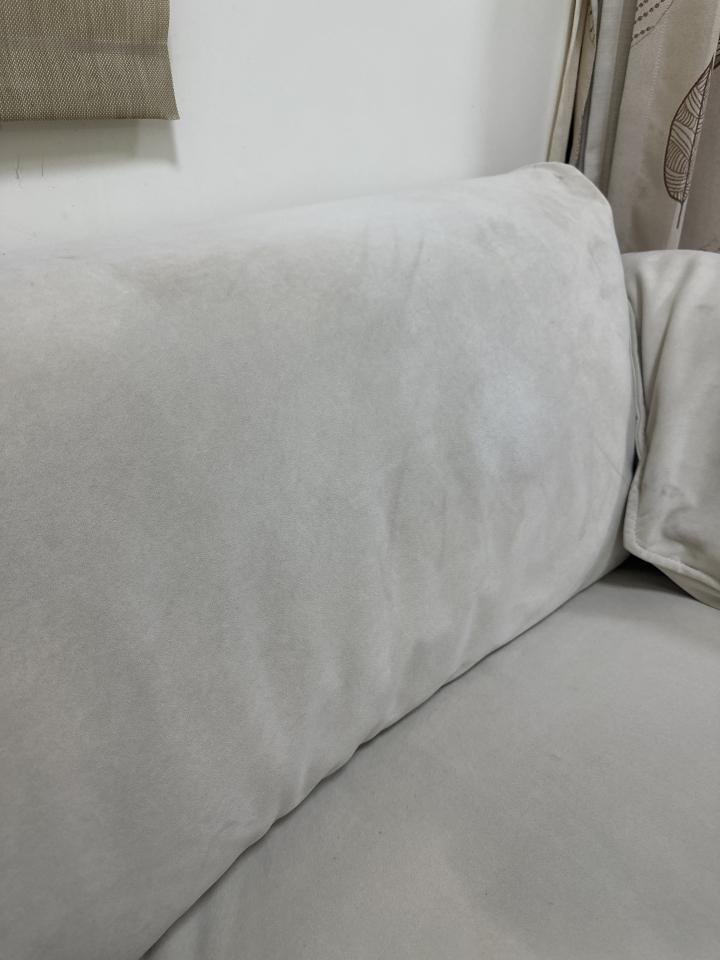 沙發清潔案件圖片
