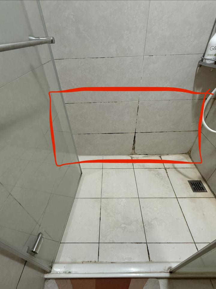 壁癌處理案件圖片