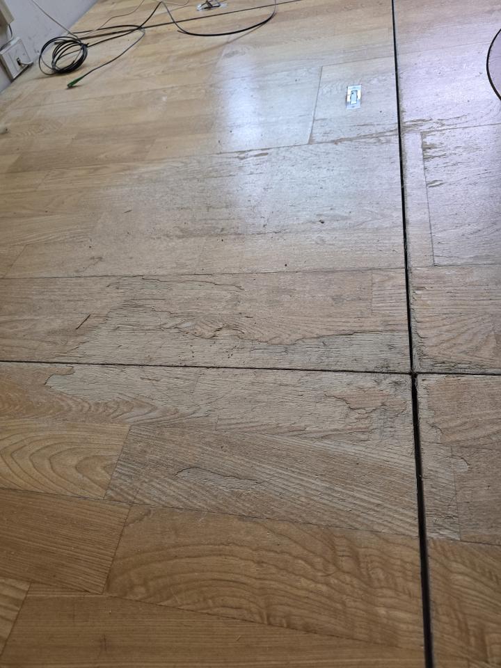 木地板打磨翻新案件圖片