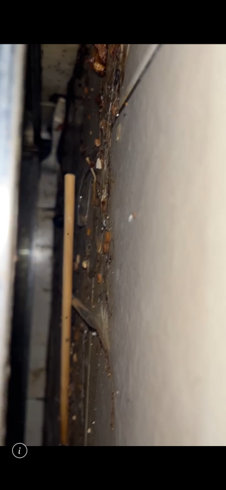 廚房清潔案件圖片