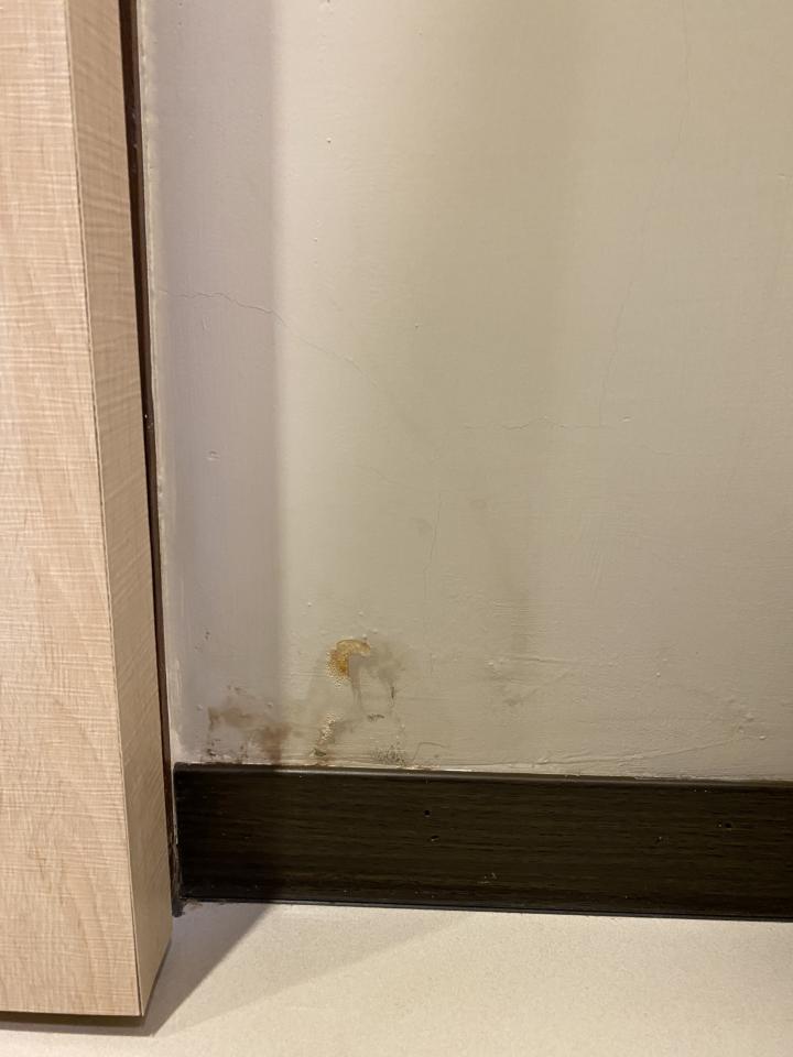 漏水處理案件圖片