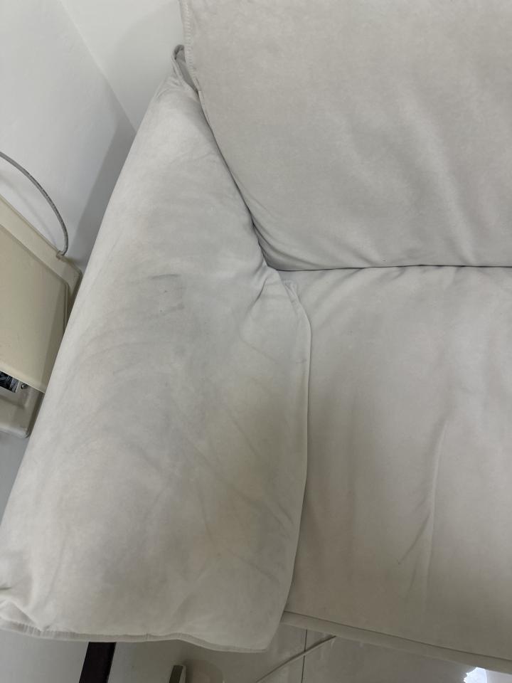 沙發清潔案件圖片
