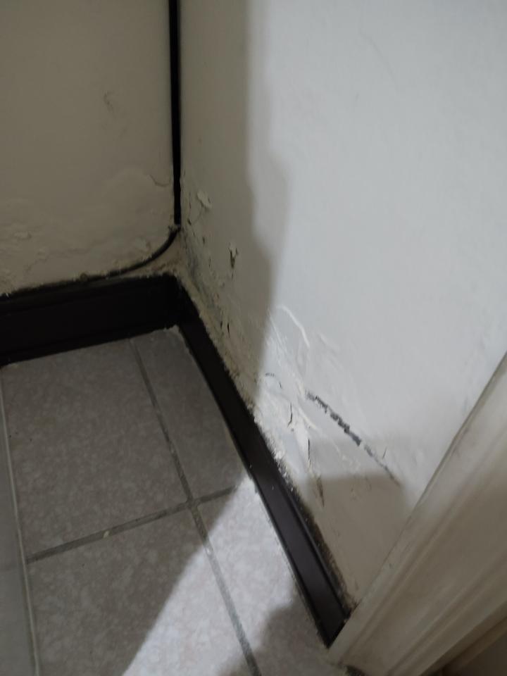 壁癌處理案件圖片