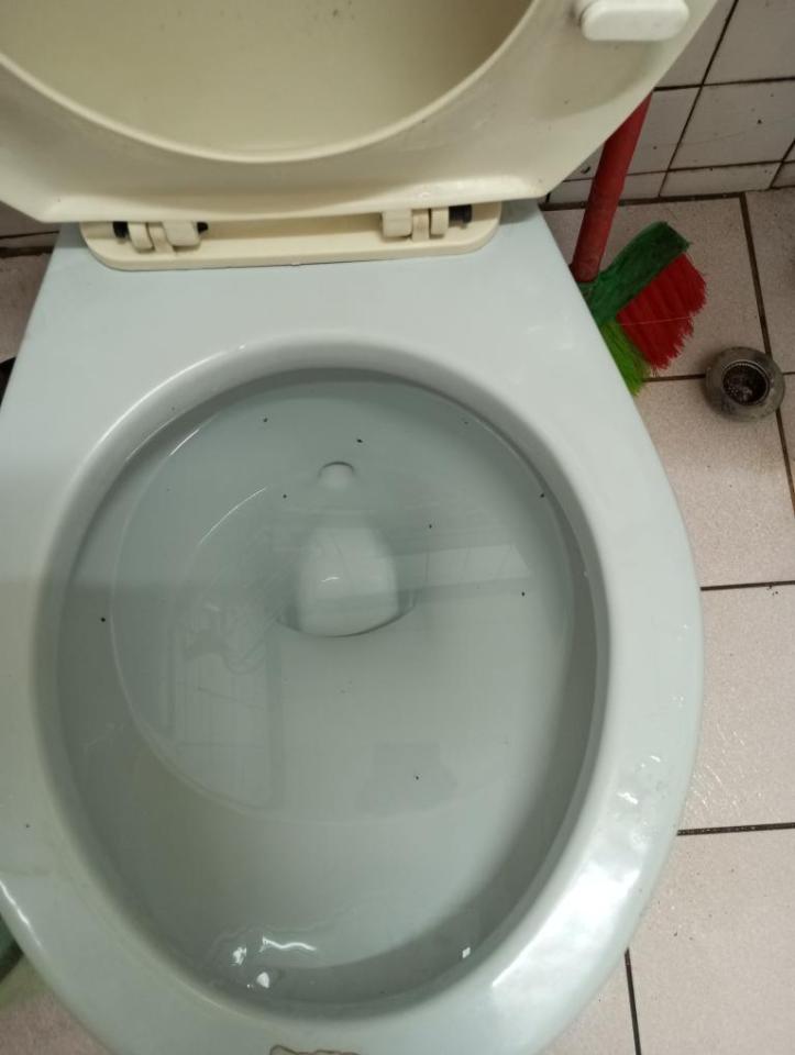 通馬桶案件圖片