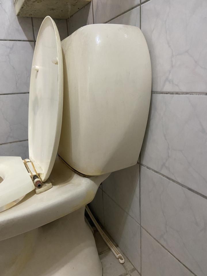 馬桶裝修案件圖片