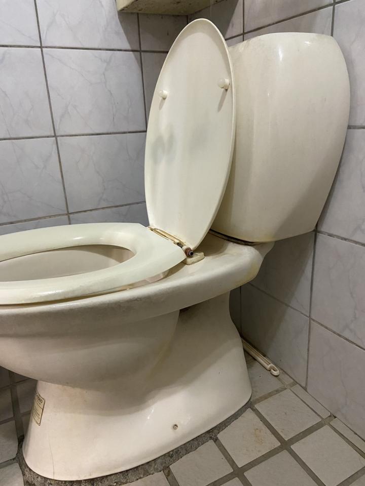 馬桶裝修案件圖片