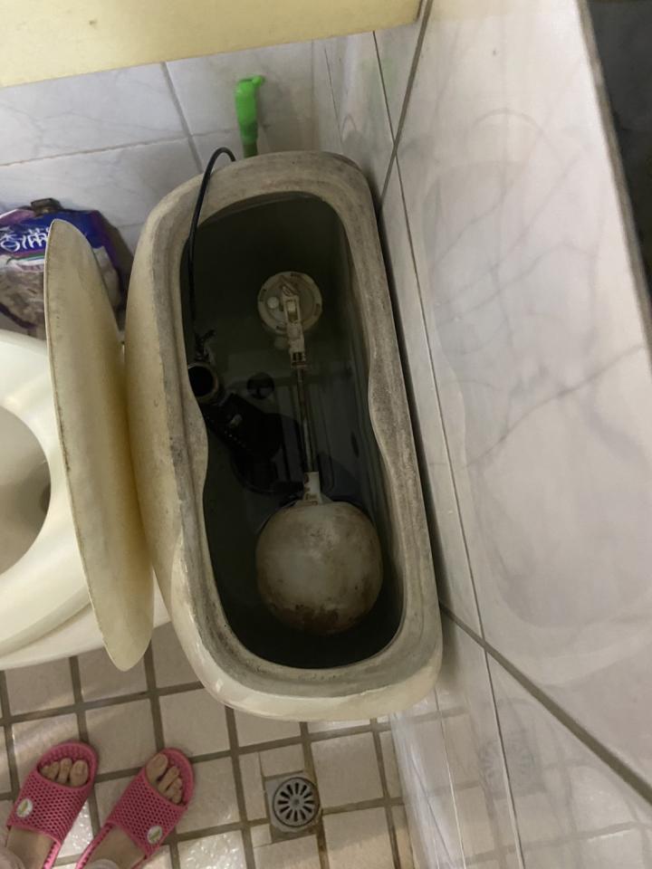 馬桶裝修案件圖片