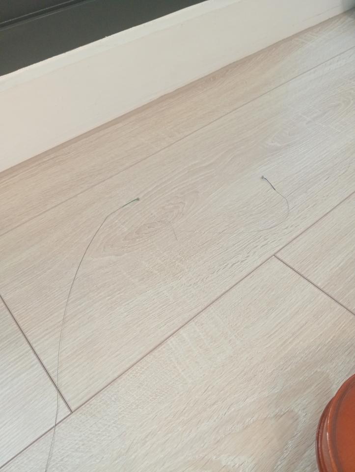 樂器行案件圖片