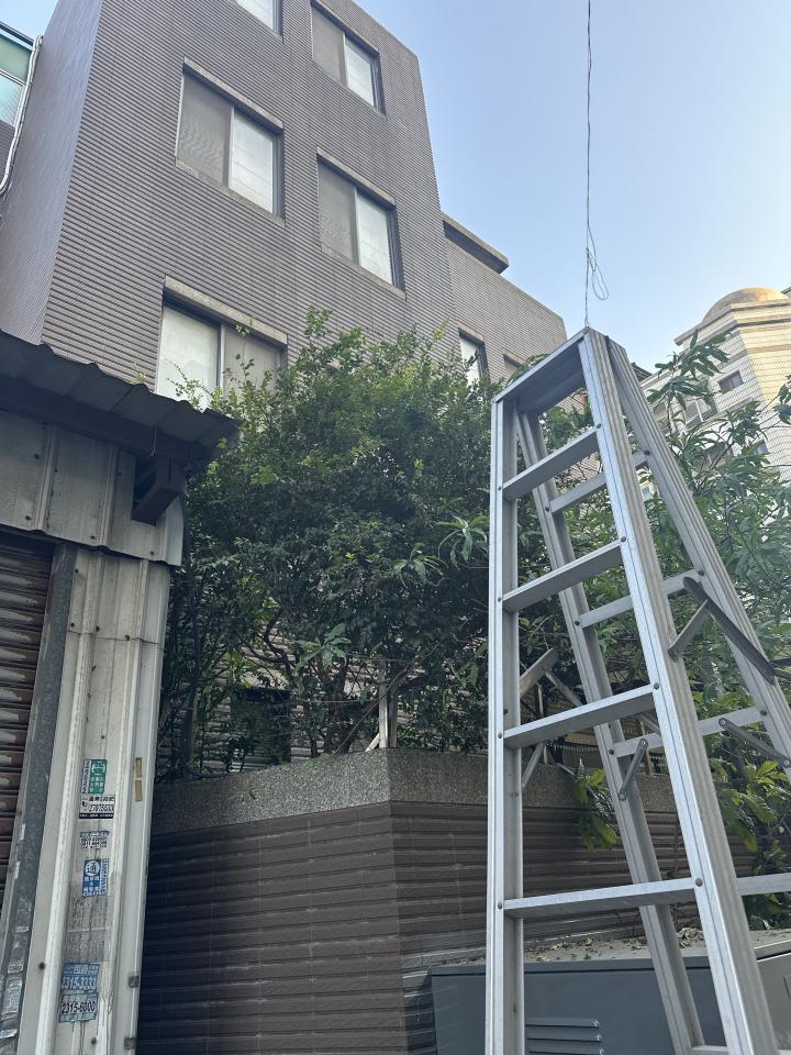 園藝維護案件圖片