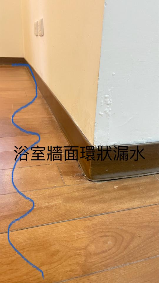 壁癌處理案件圖片