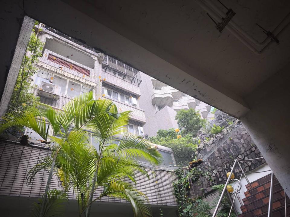 防墜網安裝案件圖片