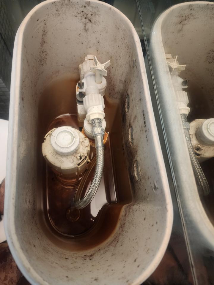 馬桶裝修案件圖片