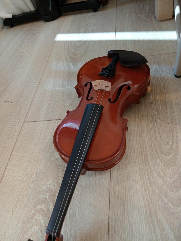 樂器行案件圖片