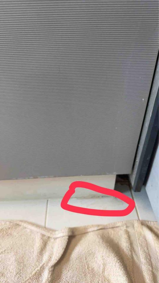 廚房水槽更換案件圖片