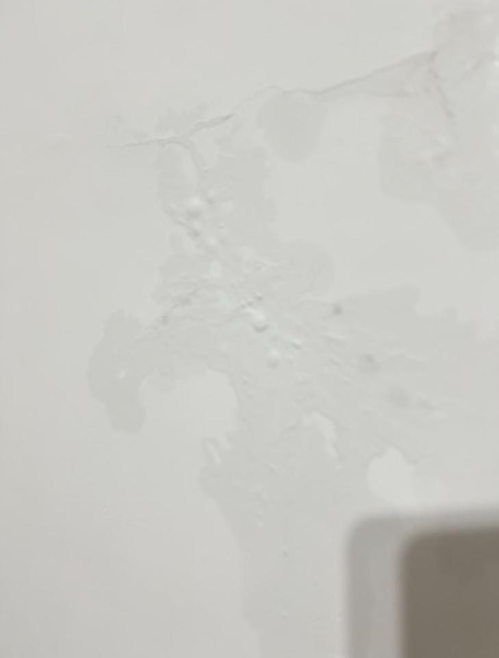 漏水鑑定案件圖片