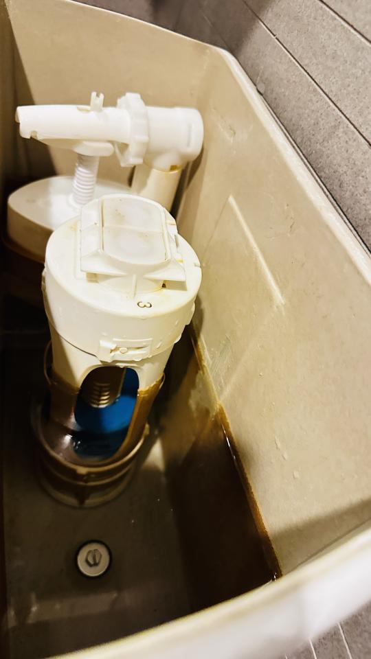 馬桶裝修案件圖片