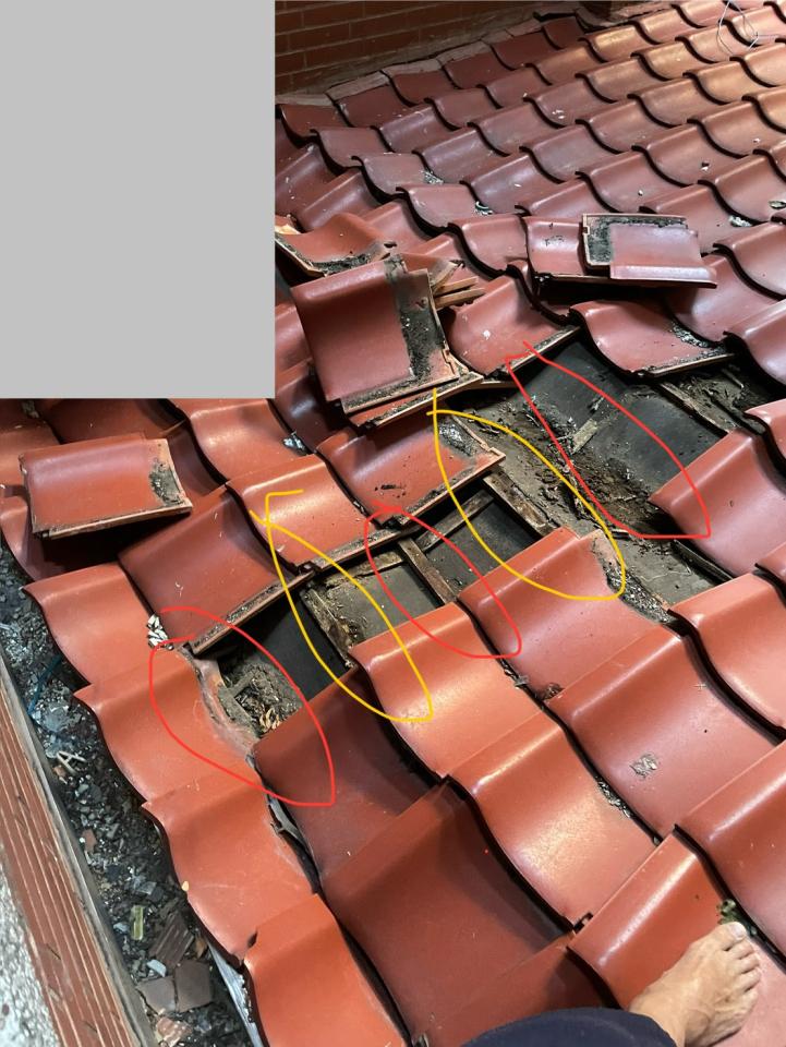 屋瓦翻修案件圖片