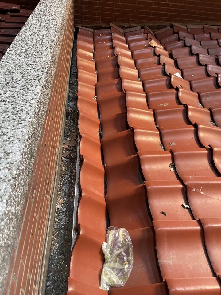 屋瓦翻修案件圖片