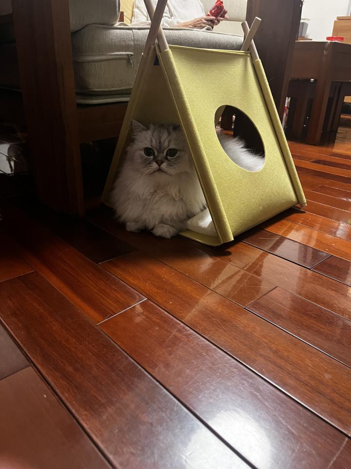 拆除工程案件圖片