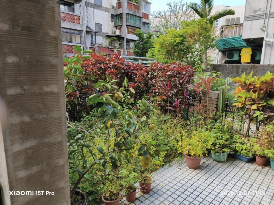 園藝設計案件圖片