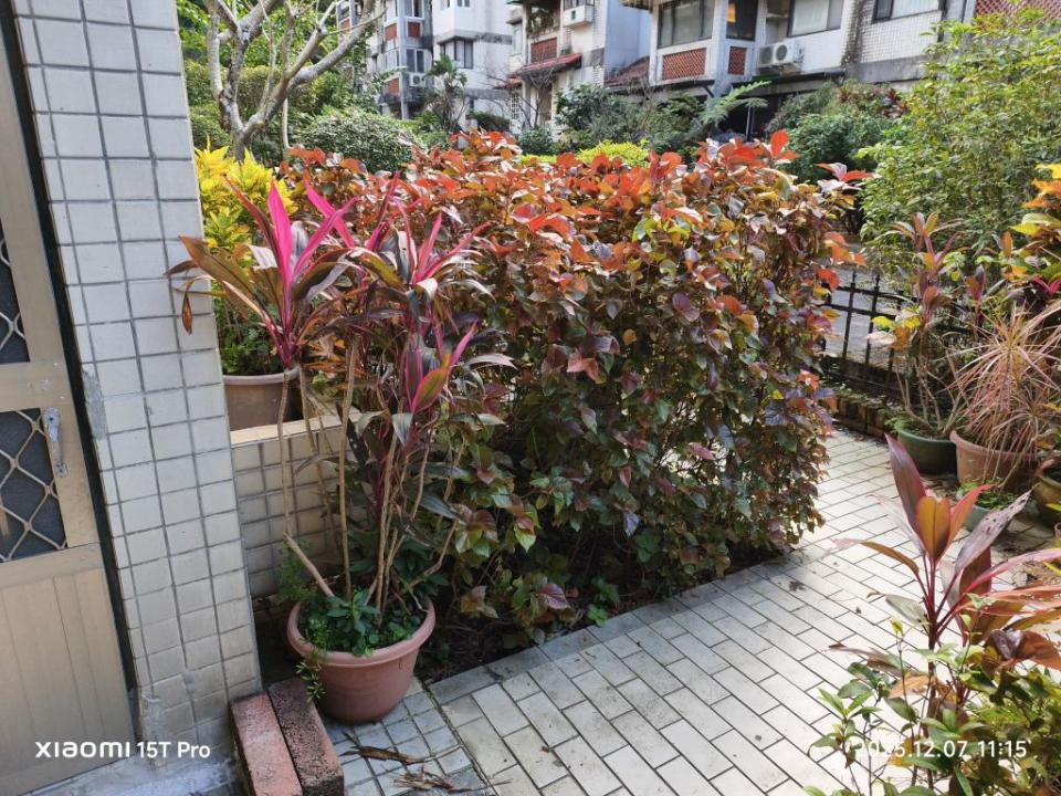 園藝設計案件圖片