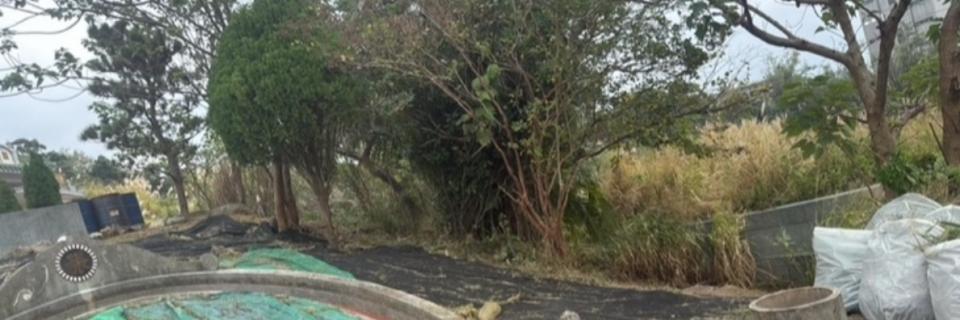 園藝維護案件圖片