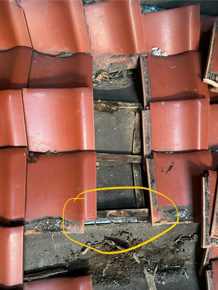 屋瓦翻修案件圖片