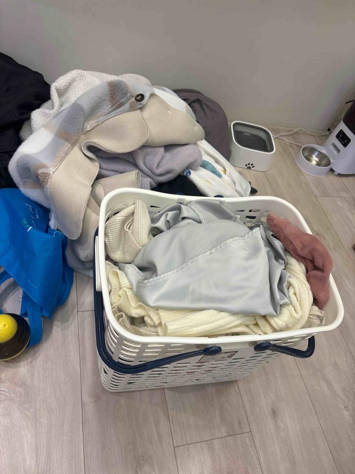 洗衣到府收送案件圖片