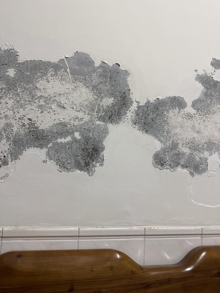 壁癌處理案件圖片