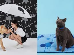 TRI Design - 聯名合作
