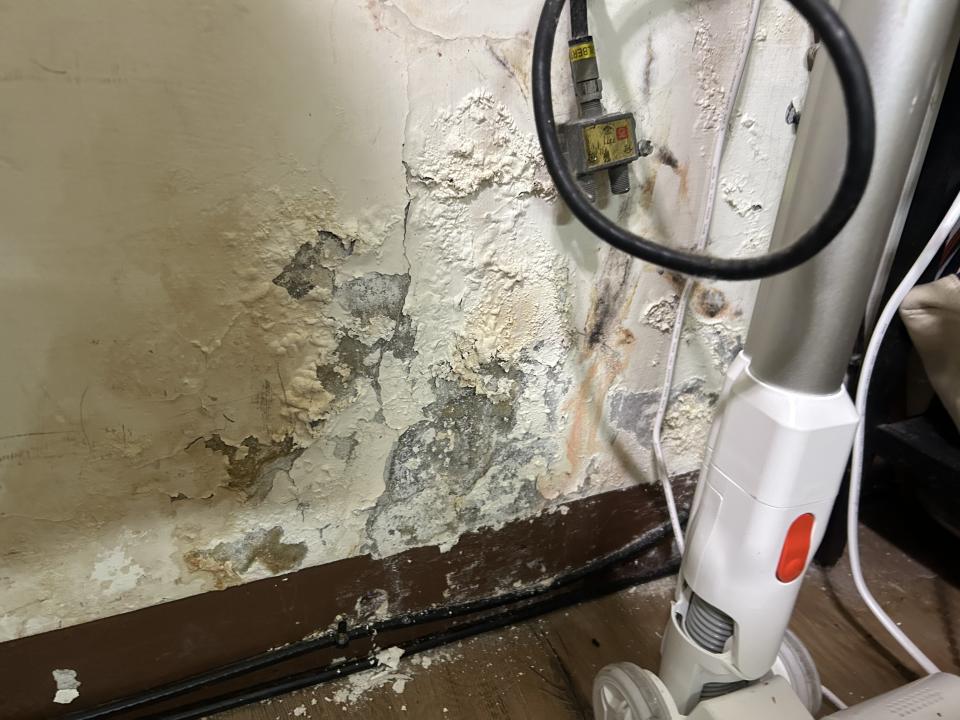 壁癌處理案件圖片