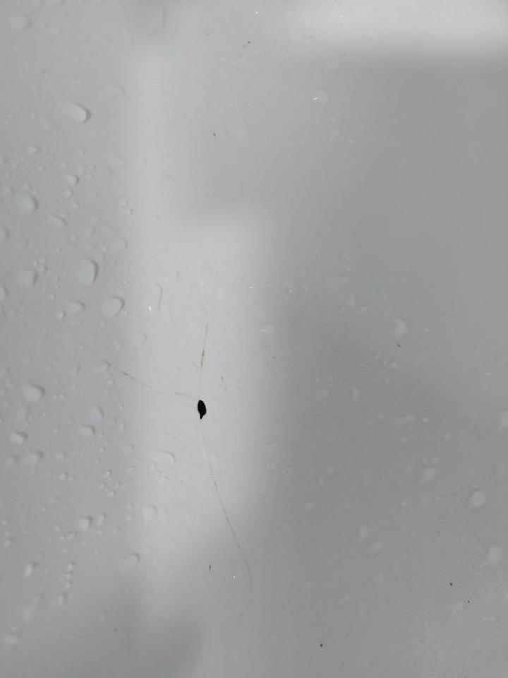 洗臉盆裝修案件圖片